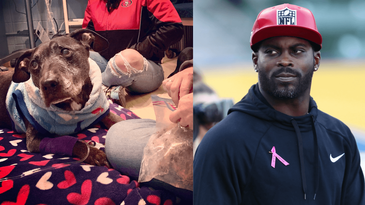 Sports in brief: Vick back in the fold with Nike